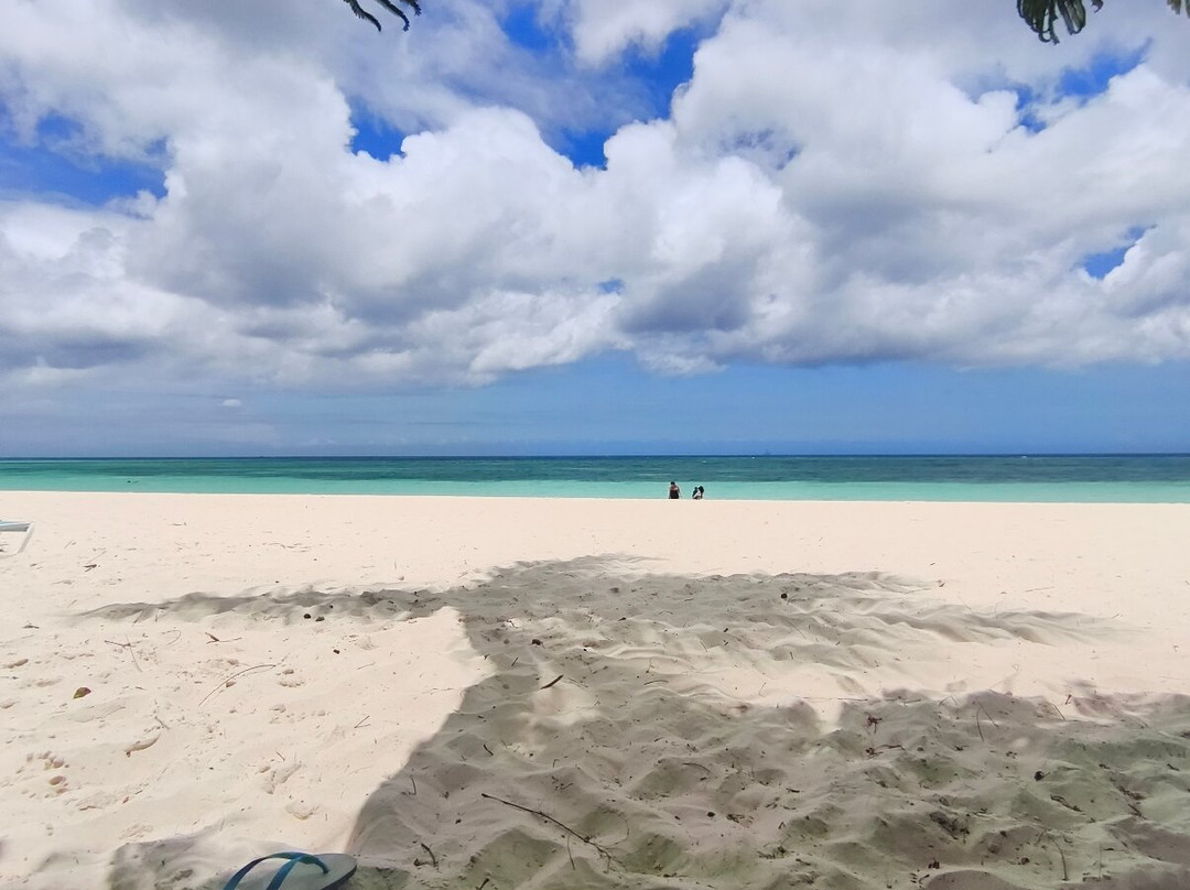 Divi Beach-奥腊涅斯塔德必去景点