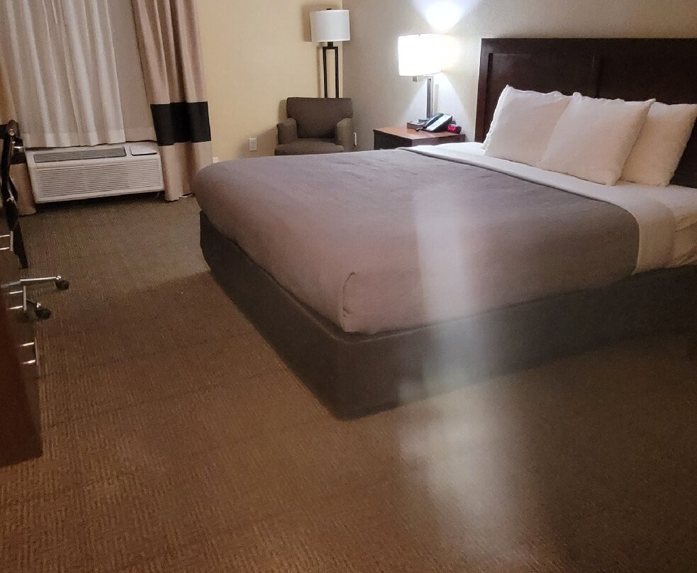 Quality Inn & Suites主图