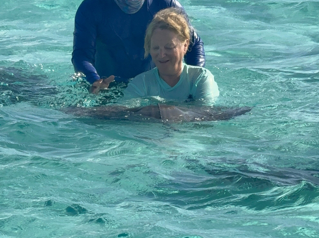 Silver Thatch Watersports-大开曼岛必去景点