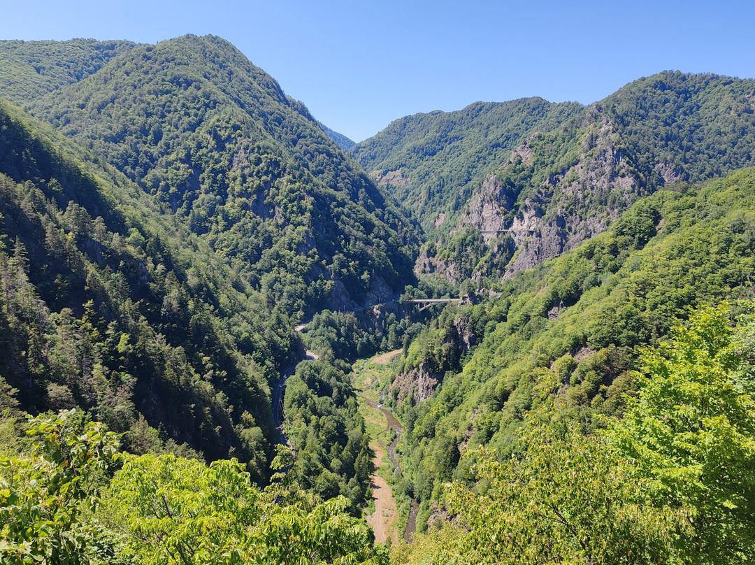 Poienari Castle-Arefu必去景点