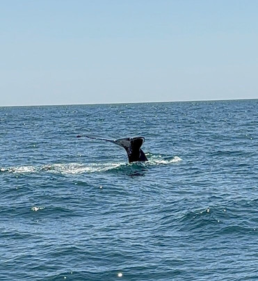 Captain John Boats-普利茅斯必去景点