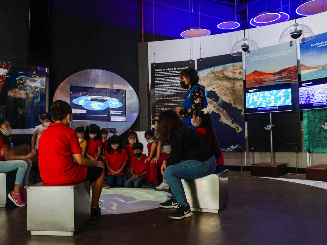 Caracol-恩塞纳达必去景点