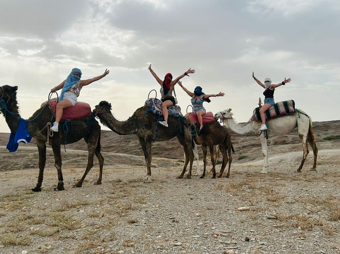 1001 Tours Morocco-塔拉戈纳必去景点