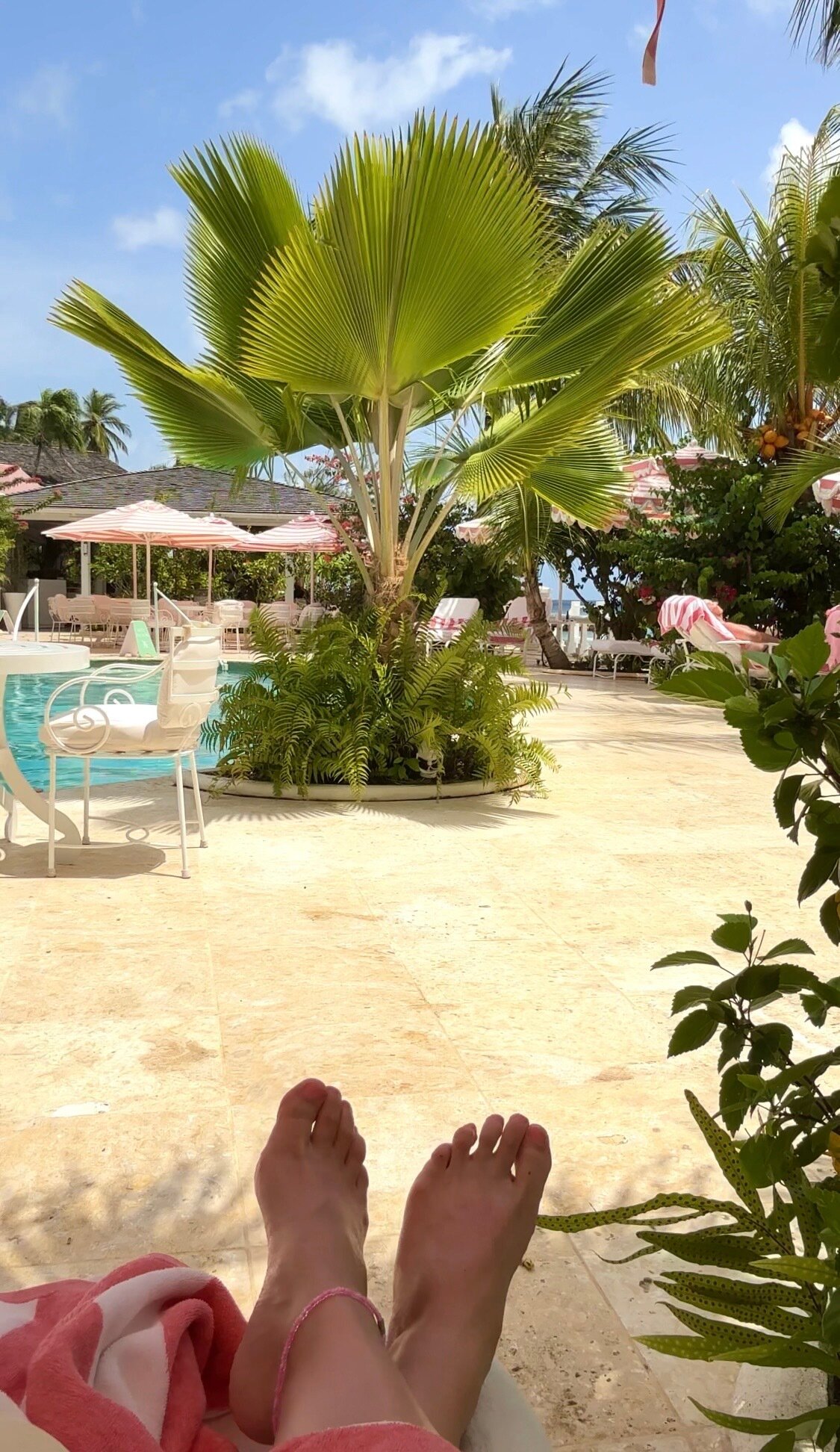 Cobblers Cove-泳池