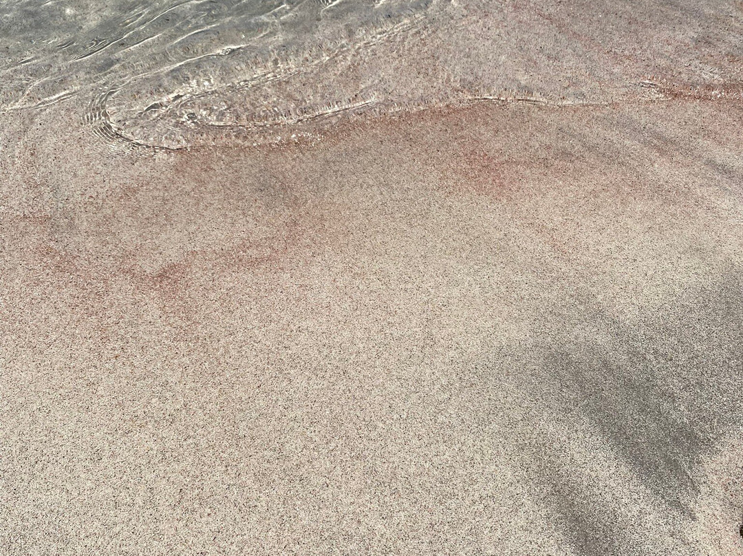 Spiaggia Bassa Trinita-拉马达莱娜必去景点