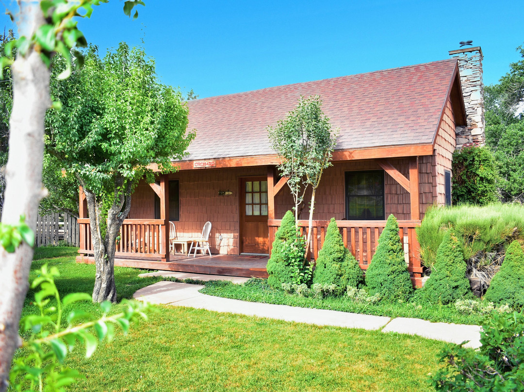 Arrowhead Country Cabins主图