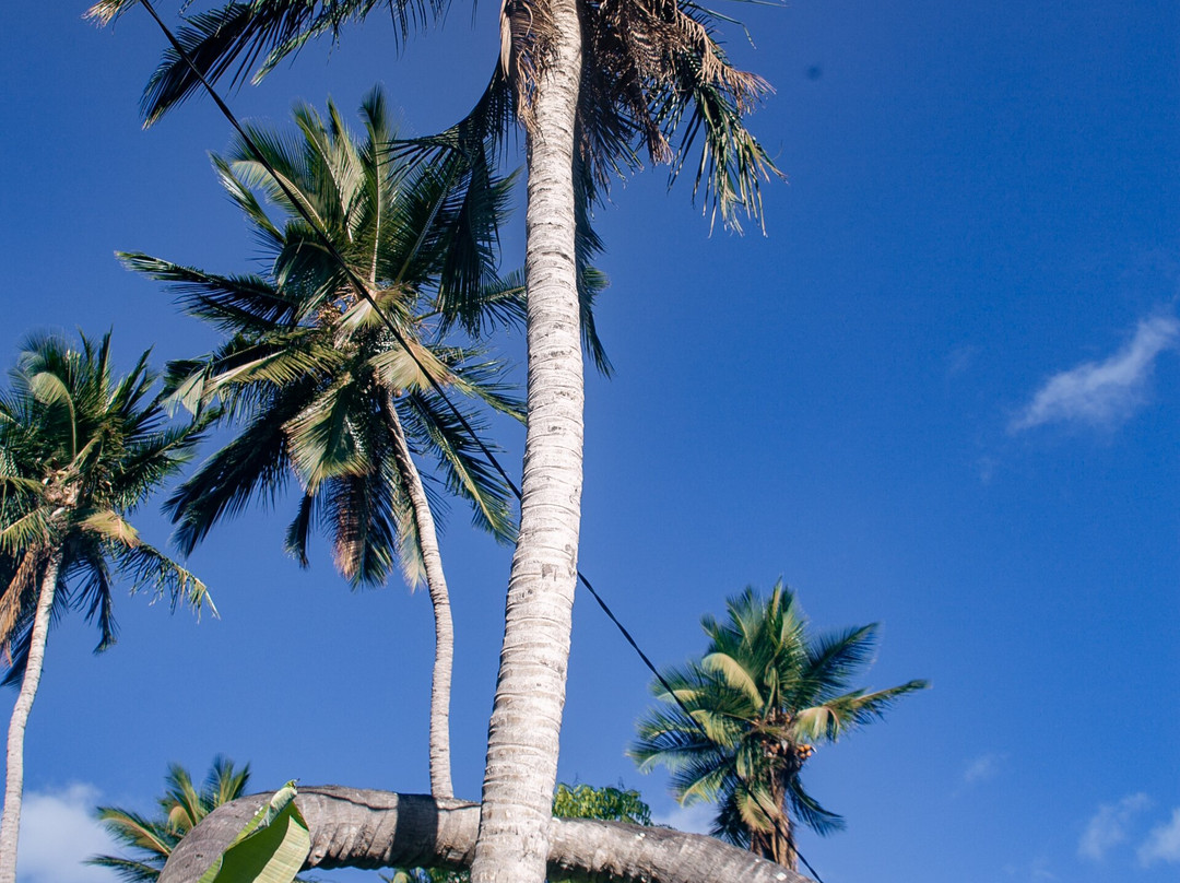 Safari Shwari Mafia Island