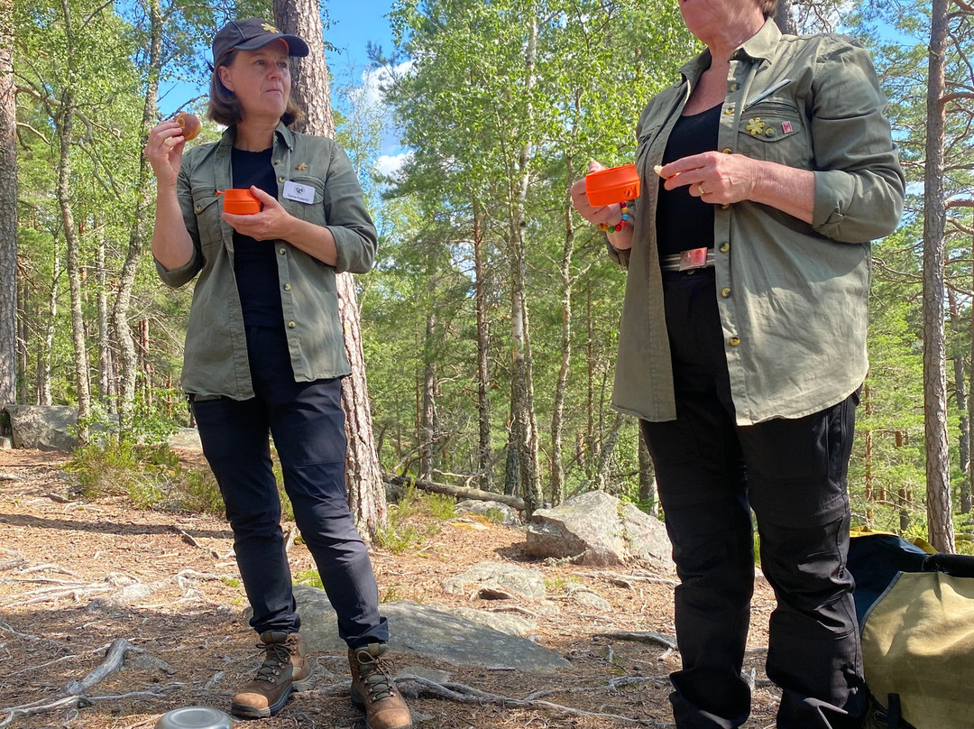 Experience Norra Kvill National Park