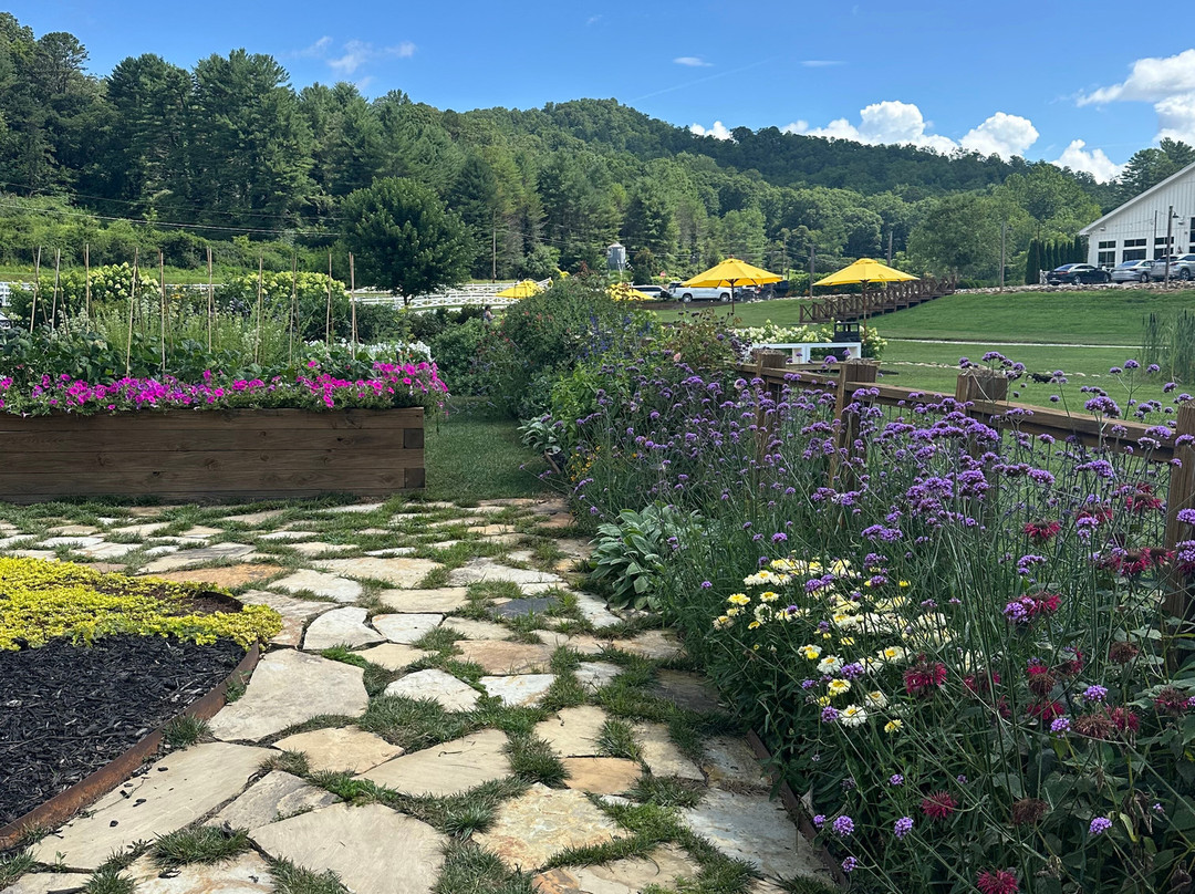 Julep Farms-Dillard必去景点