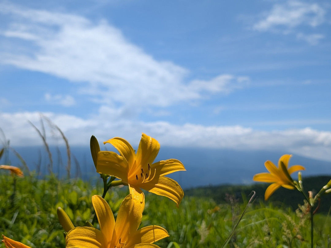 Kurumayama Highland-茅野市必去景点