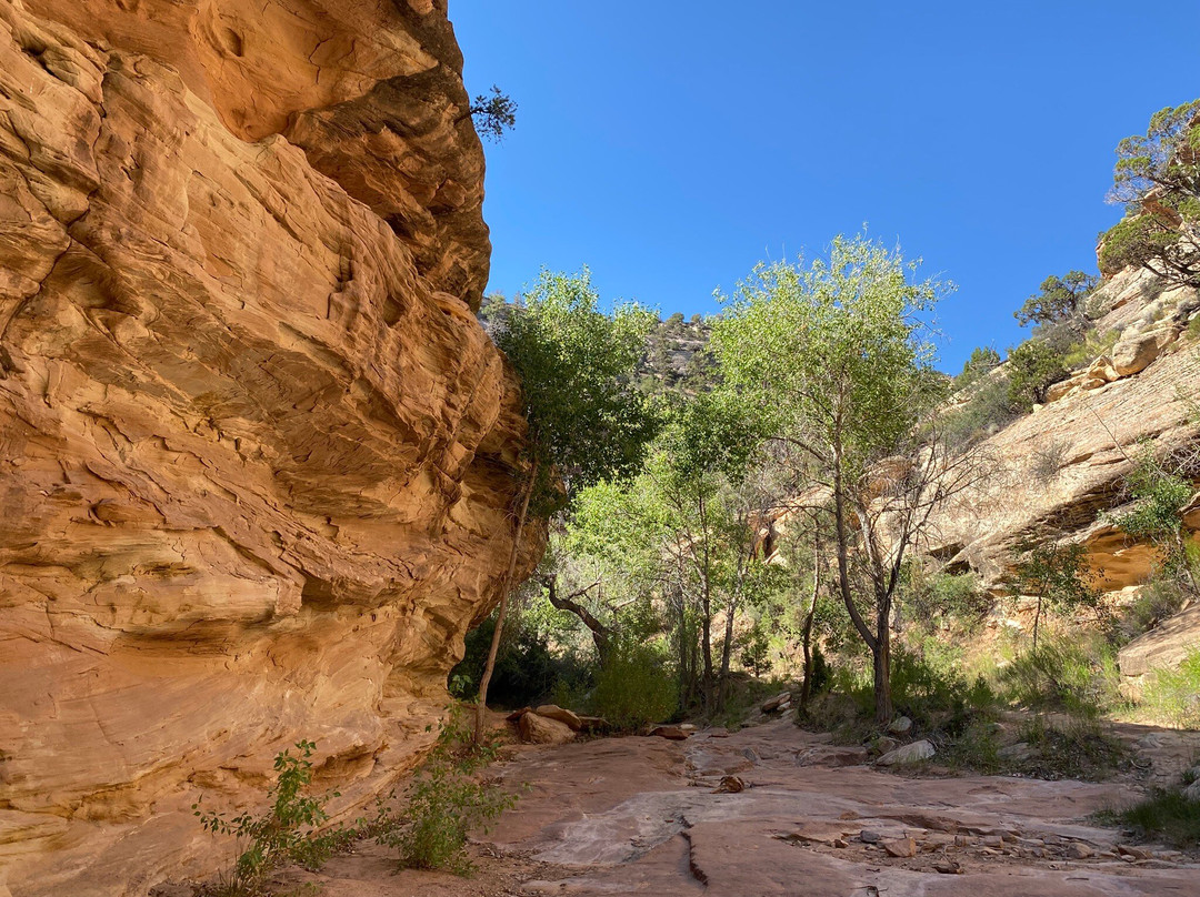 Bangs Canyon Trailhead-大章克申必去景点