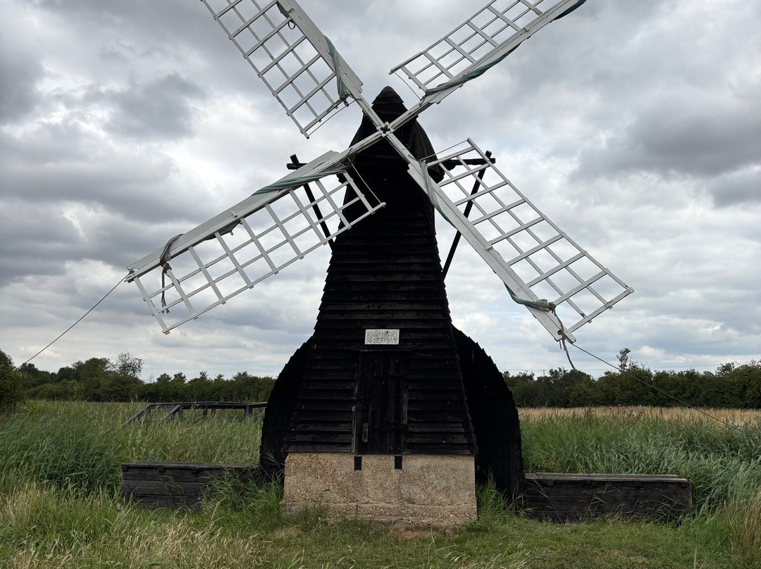 Wicken Fen National Nature Reserve-伊利必去景点