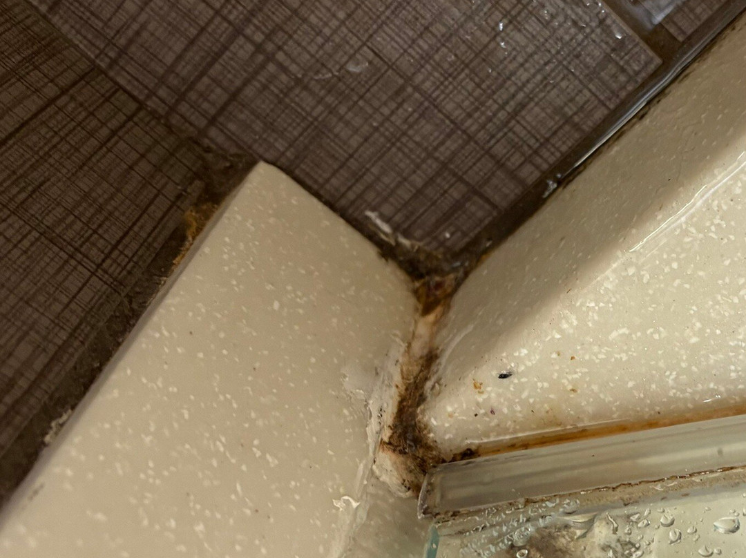 Sleep Inn & Suites Bismarck I-94主图