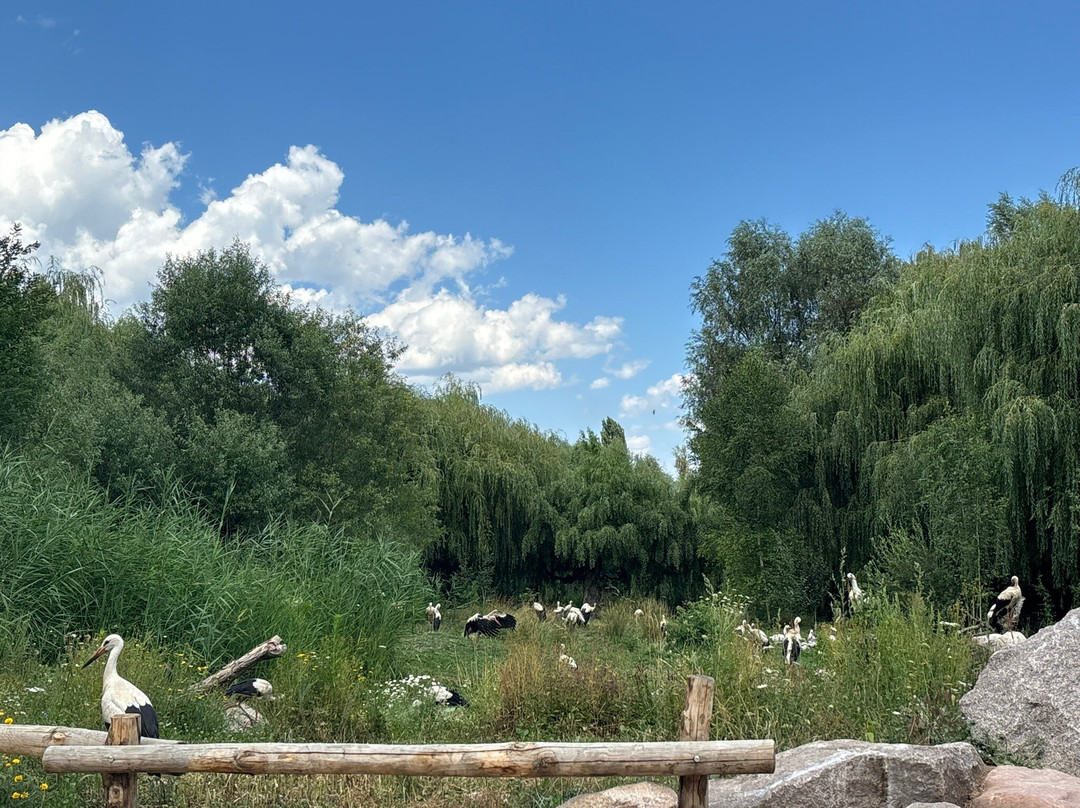 NaturoparC - Hunawihr-汉拿威必去景点