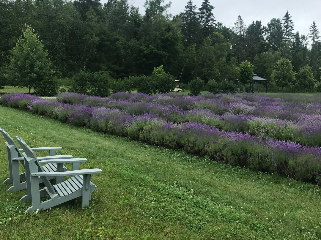 Bleu Lavande-梅戈格必去景点