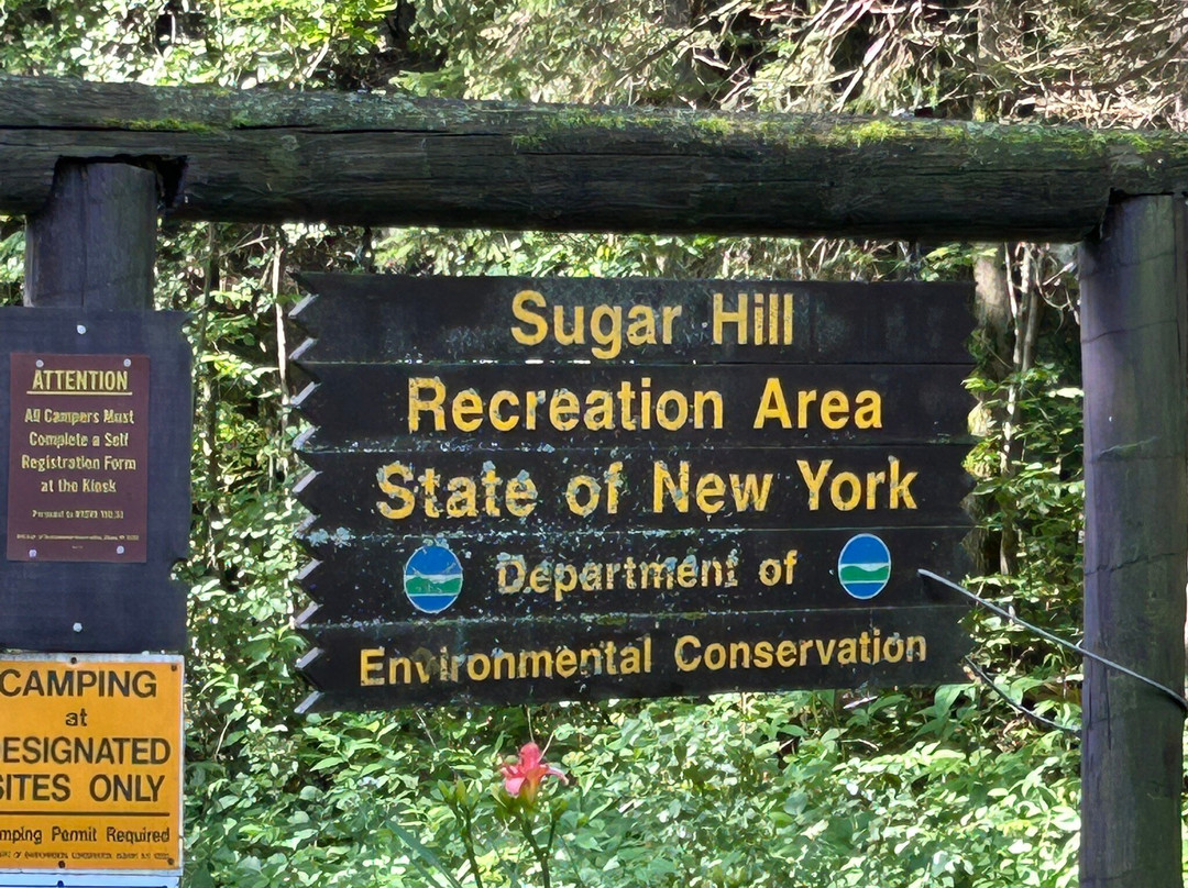 Sugar Hill State Forest-沃特金斯格伦必去景点