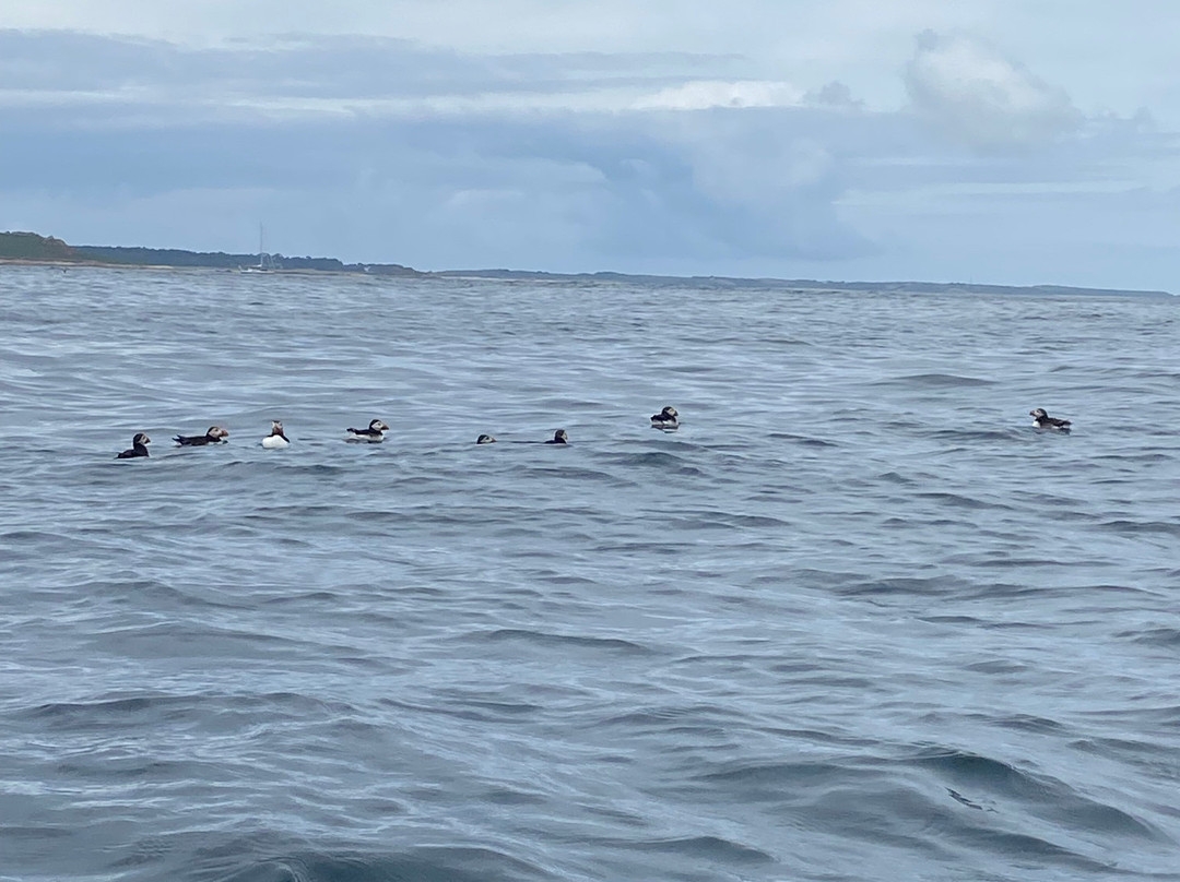St Agnes Watersports-St Agnes必去景点