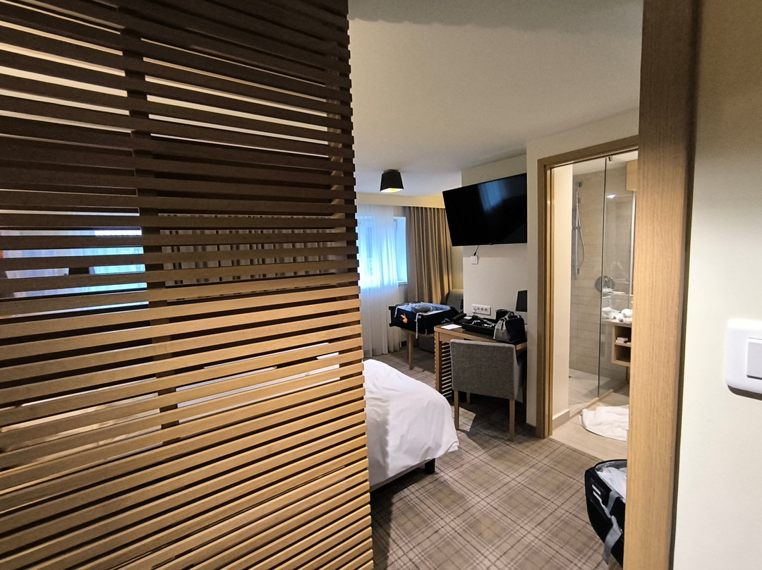 Ana Hotels Sport Poiana Brasov主图