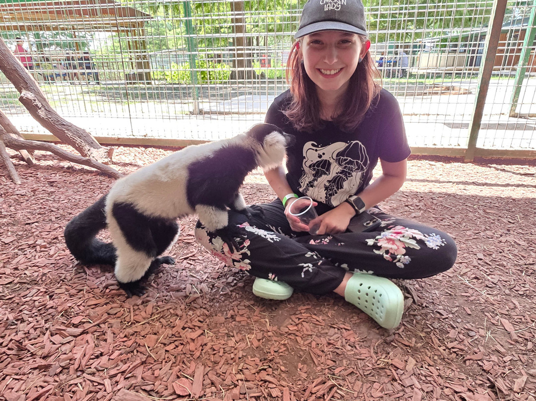 East Texas Gators and Wildlife Park-Grand Saline必去景点