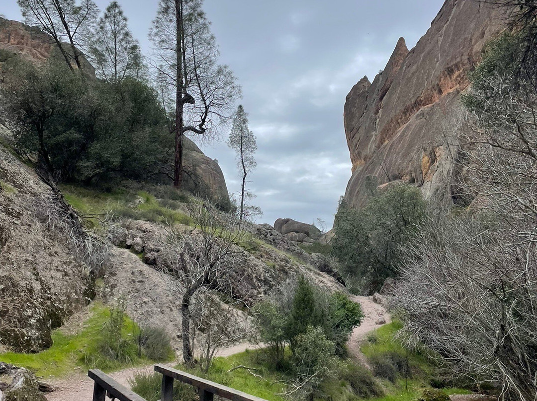 Pinnacles National Park West Entrance-Soledad必去景点
