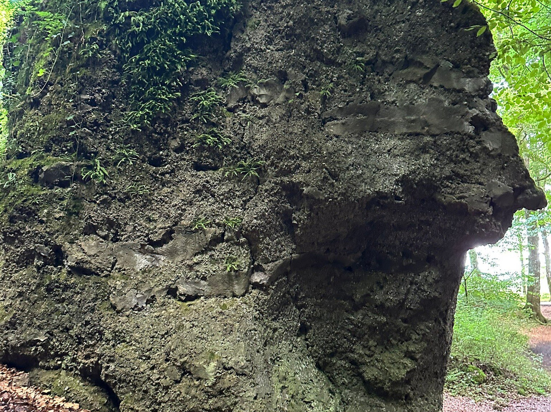 Birresborner Eishoehlen-Birresborn必去景点