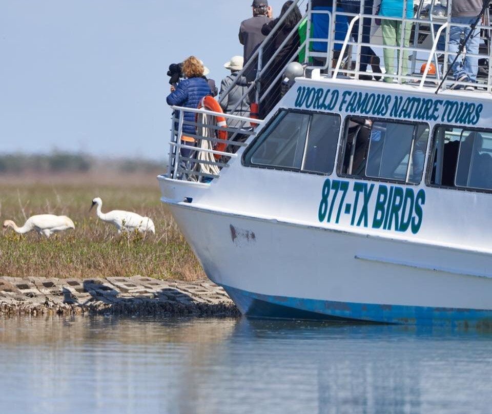 Rockport Birding and Kayak Adventures-罗克波特必去景点