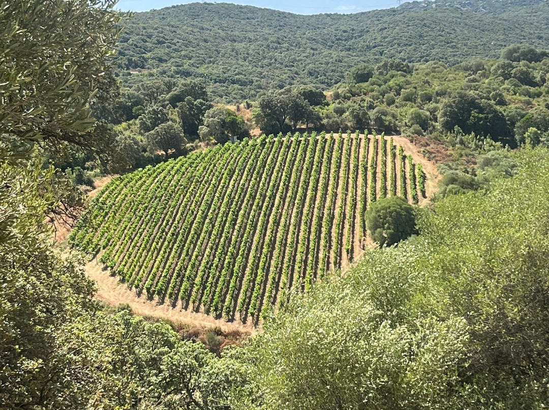 Siddùra-Luogosanto必去景点