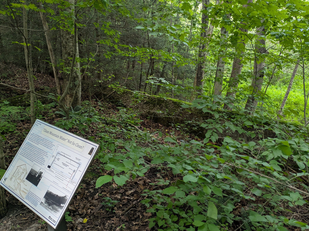 West Virginia Botanic Garden-Cheat Lake必去景点