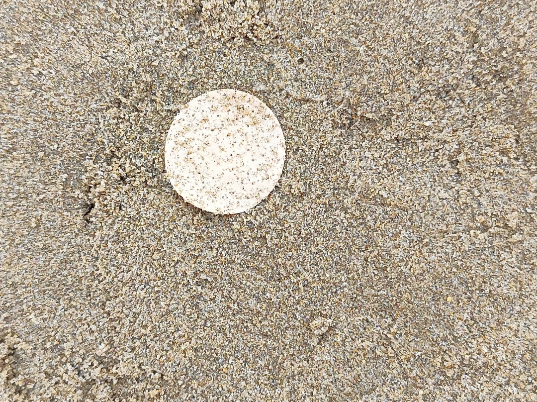 Playa de lenguadillos-萨洛必去景点