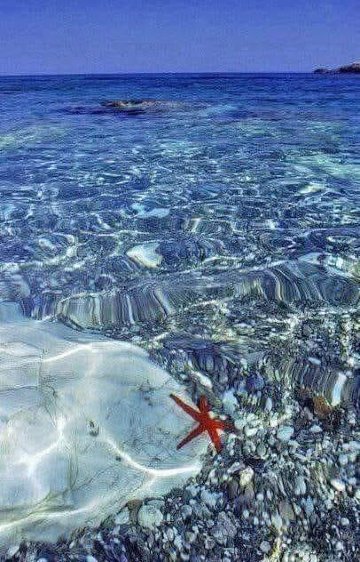 费利克斯住宅酒店-官方