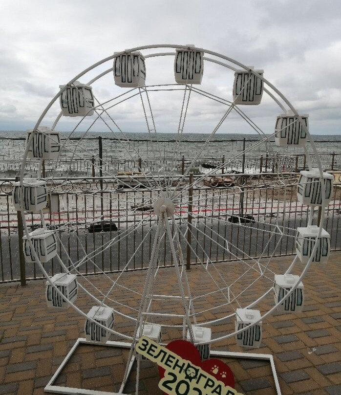 Ferris wheel "Eye of the Baltic"-泽列诺格拉茨克必去景点