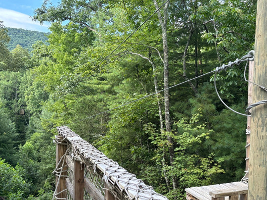 Foxfire Adventure Park-塞维尔维尔必去景点