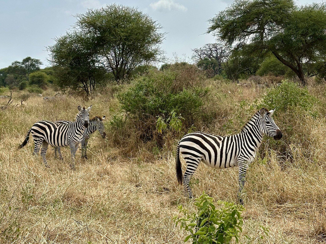 Takims Holidays-阿鲁沙必去景点