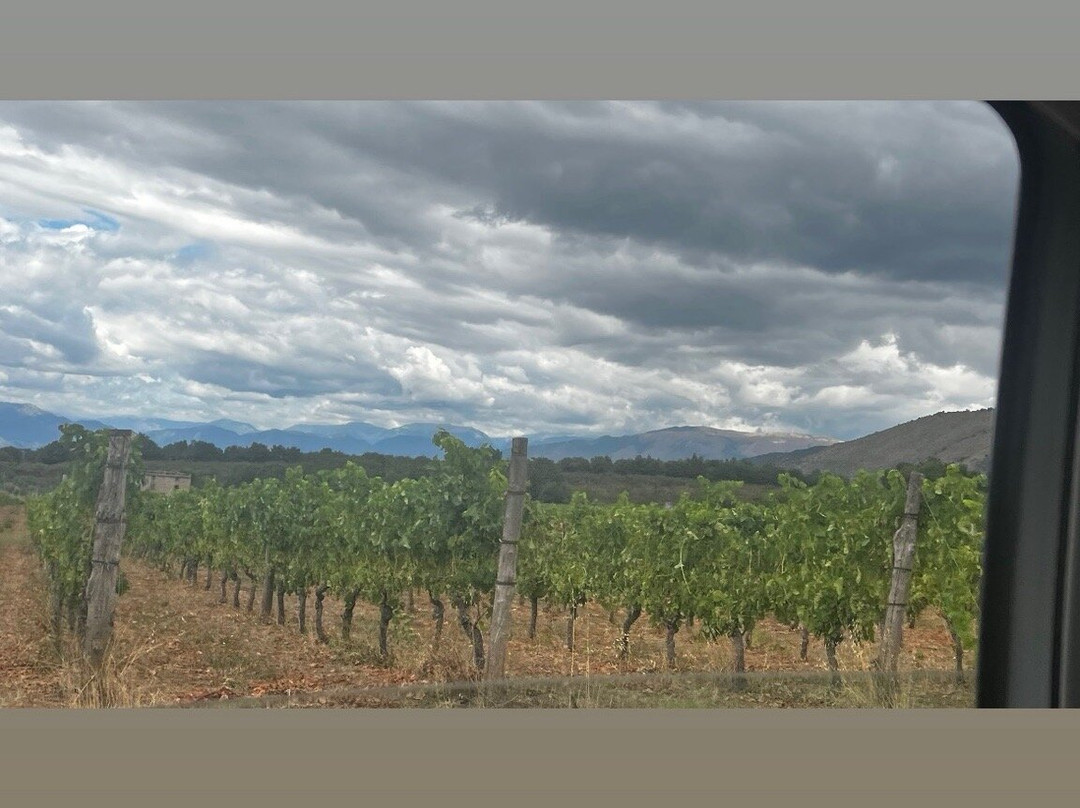 Vini Porto di Mola-Galluccio必去景点