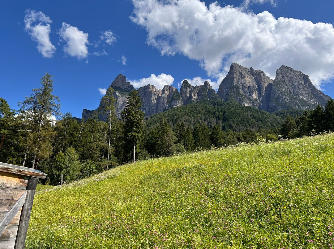 Golf St. Vigil Seis-卡斯特尔罗托必去景点