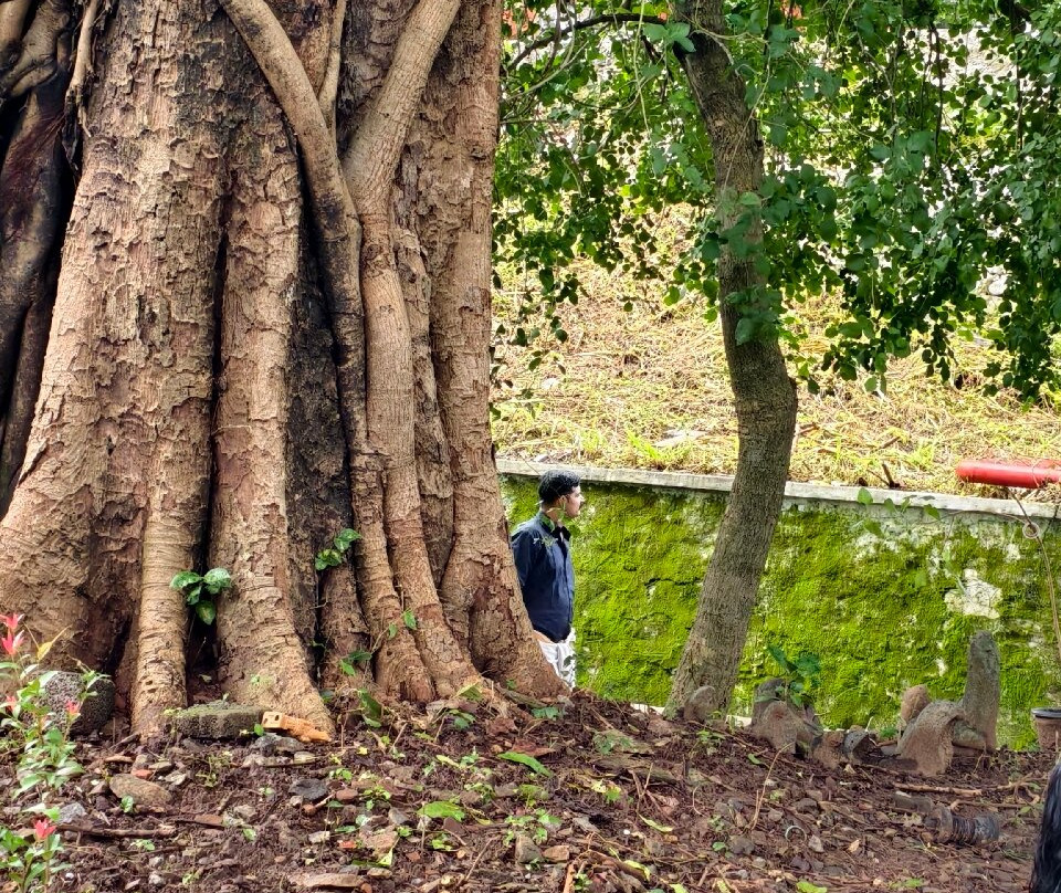 Vilwadrinatha Temple-德里久尔必去景点