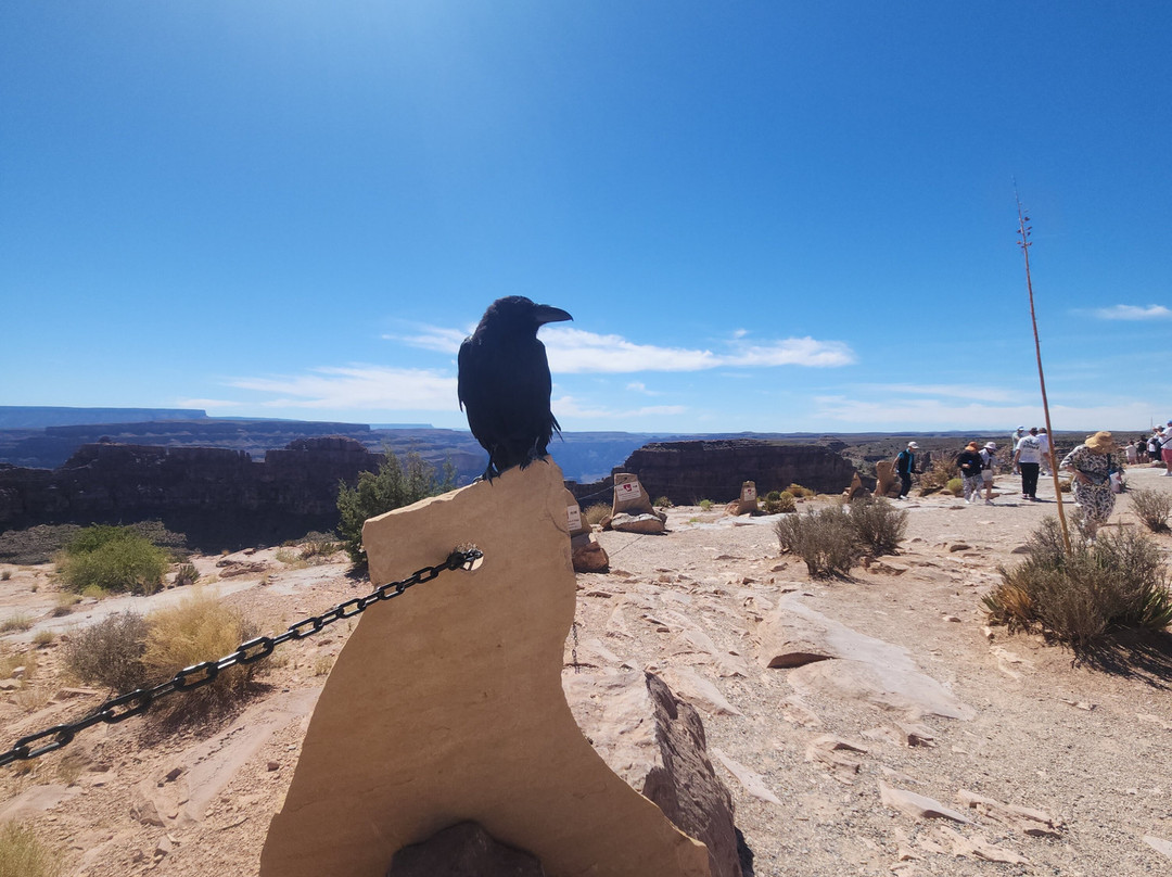 Grand Canyon West Skywalk-皮奇斯普林斯必去景点