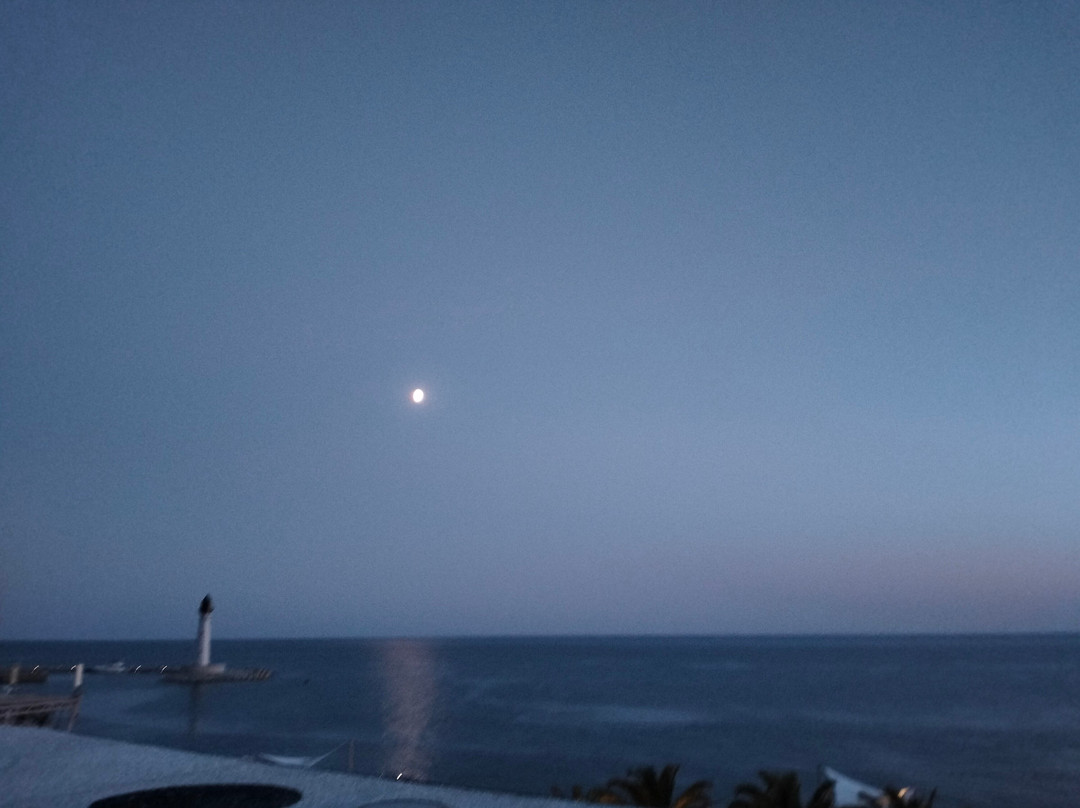 Dreamwood-Opolzneve必去景点