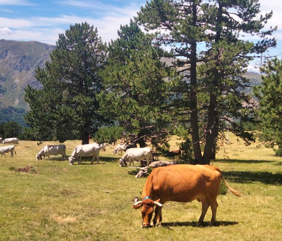 Téléphérique Ax 3 Domains-Ax-les-Thermes必去景点