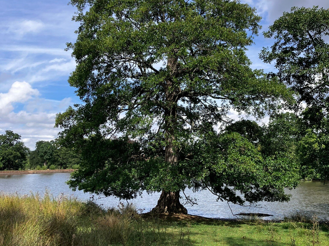 Packwood House-Lapworth必去景点