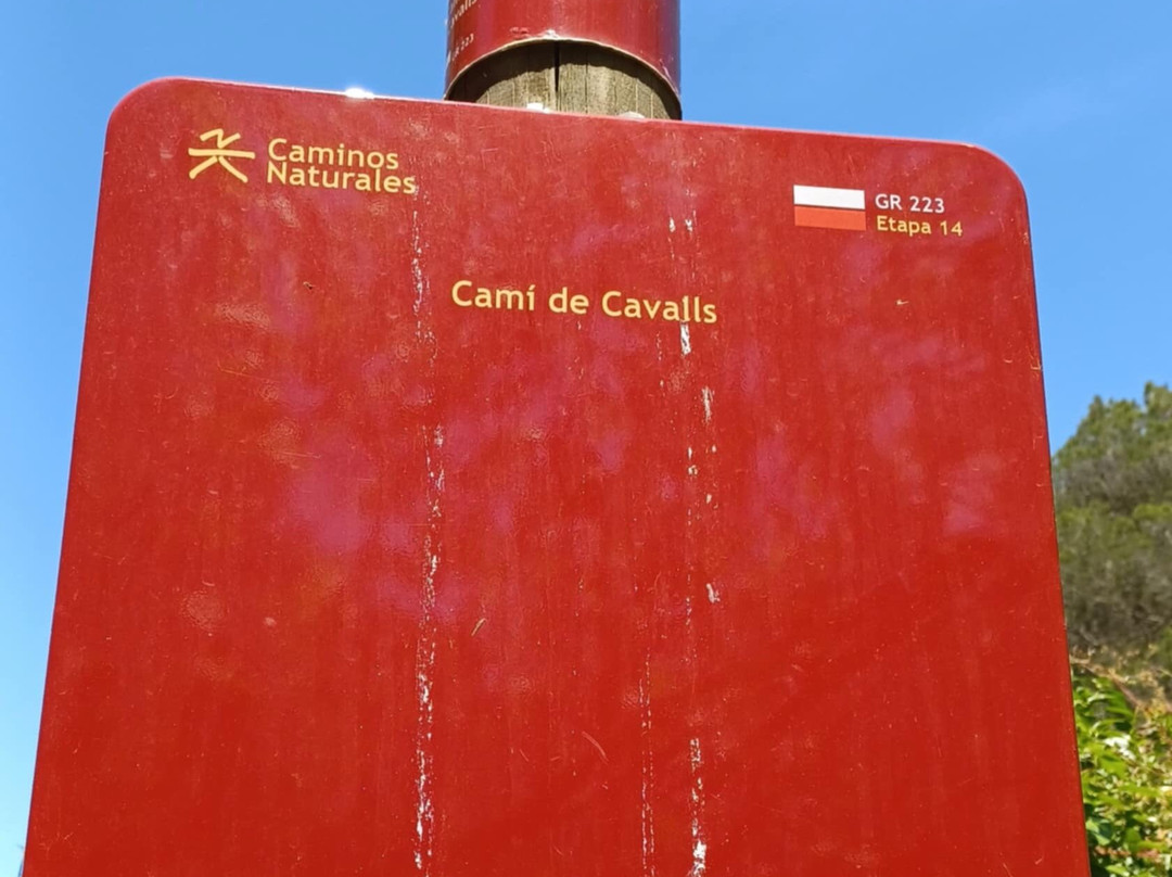 Cova Des Coloms-Migjorn Gran必去景点