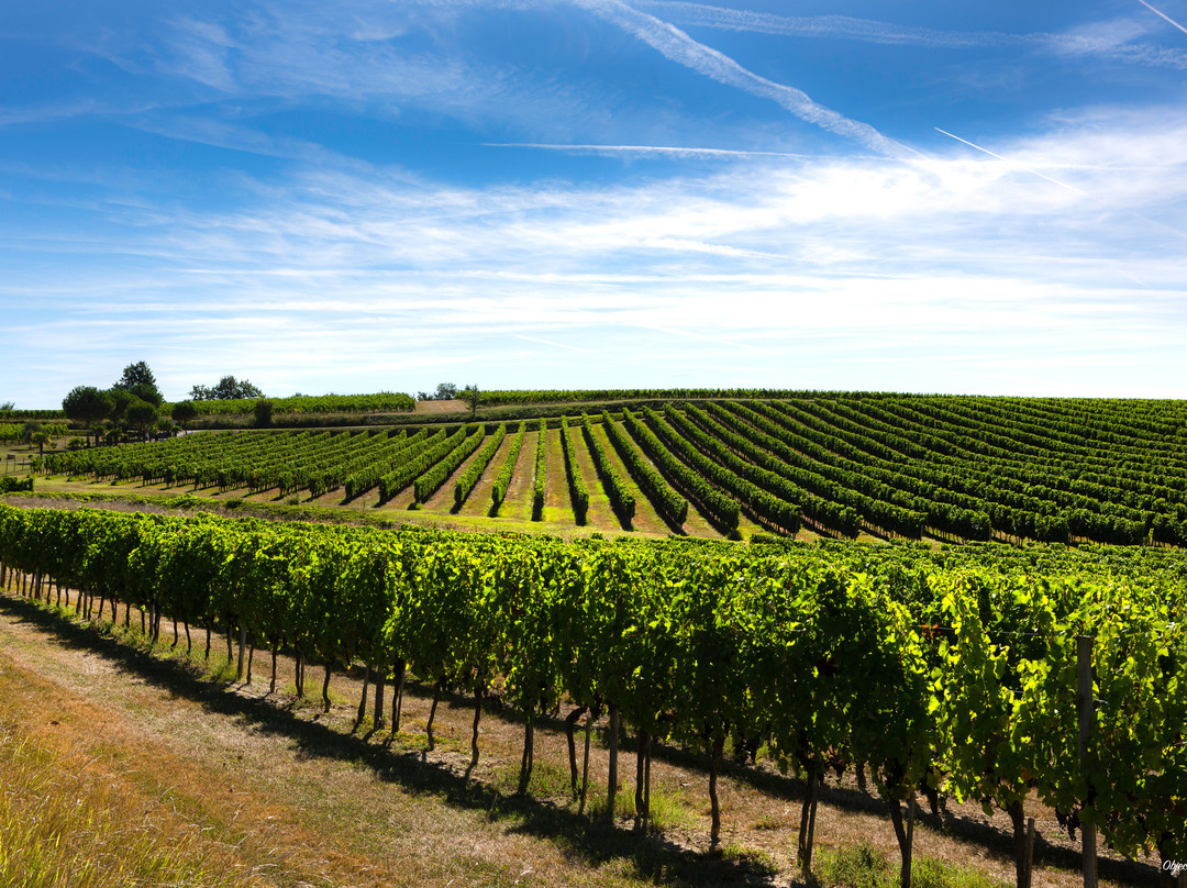 Domaine les Bertins-Saint-Astier必去景点