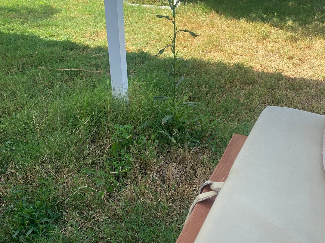 Elysian Luxury Hotel and Spa主图