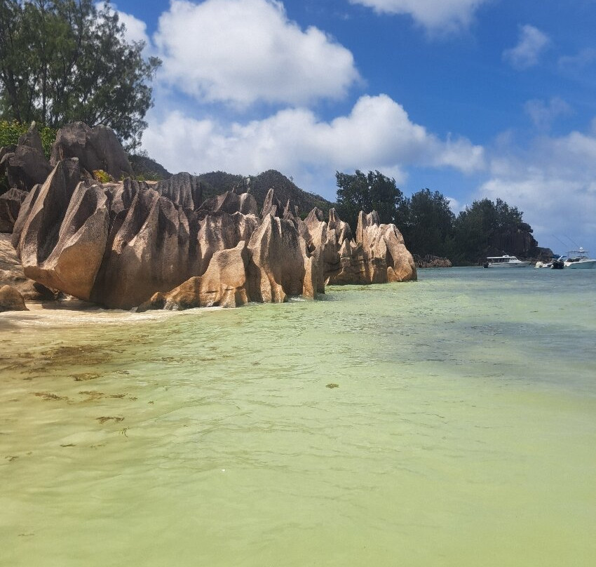 Praslin: Curieuse & St Pierre Island Day Trip with Barbecue-Curieuse Island必去景点