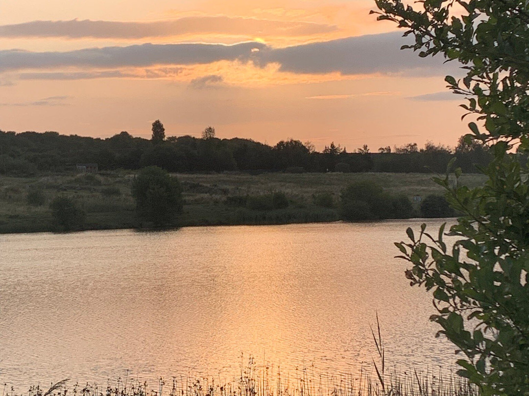 RSPB St Aidan's nature park-利兹必去景点