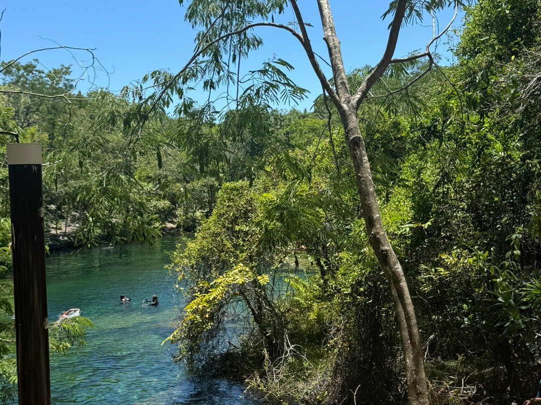 Cenote Jardín del Eden-犹加敦必去景点