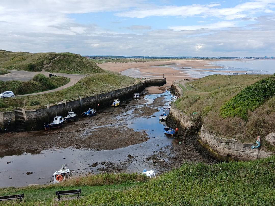 Waterford Arms主图