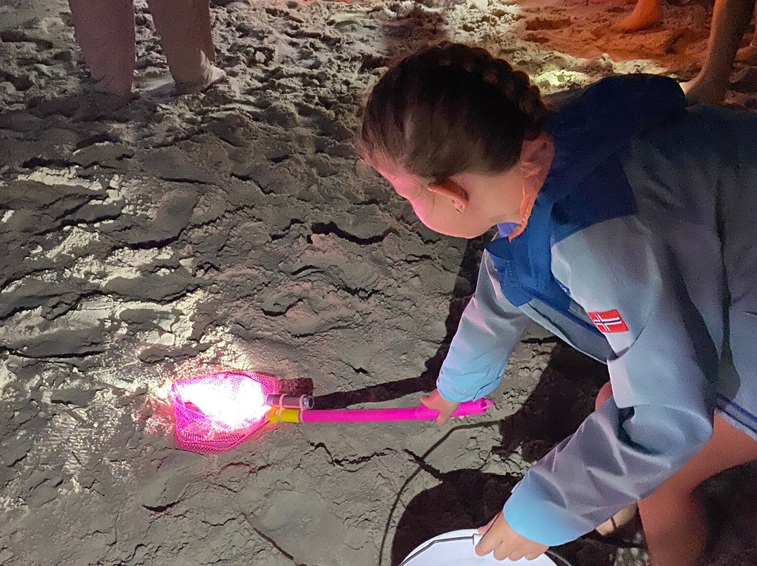 Ghost Crab Quest-Kitty Hawk必去景点