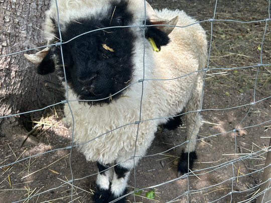 Malowe Nature-Rosay必去景点