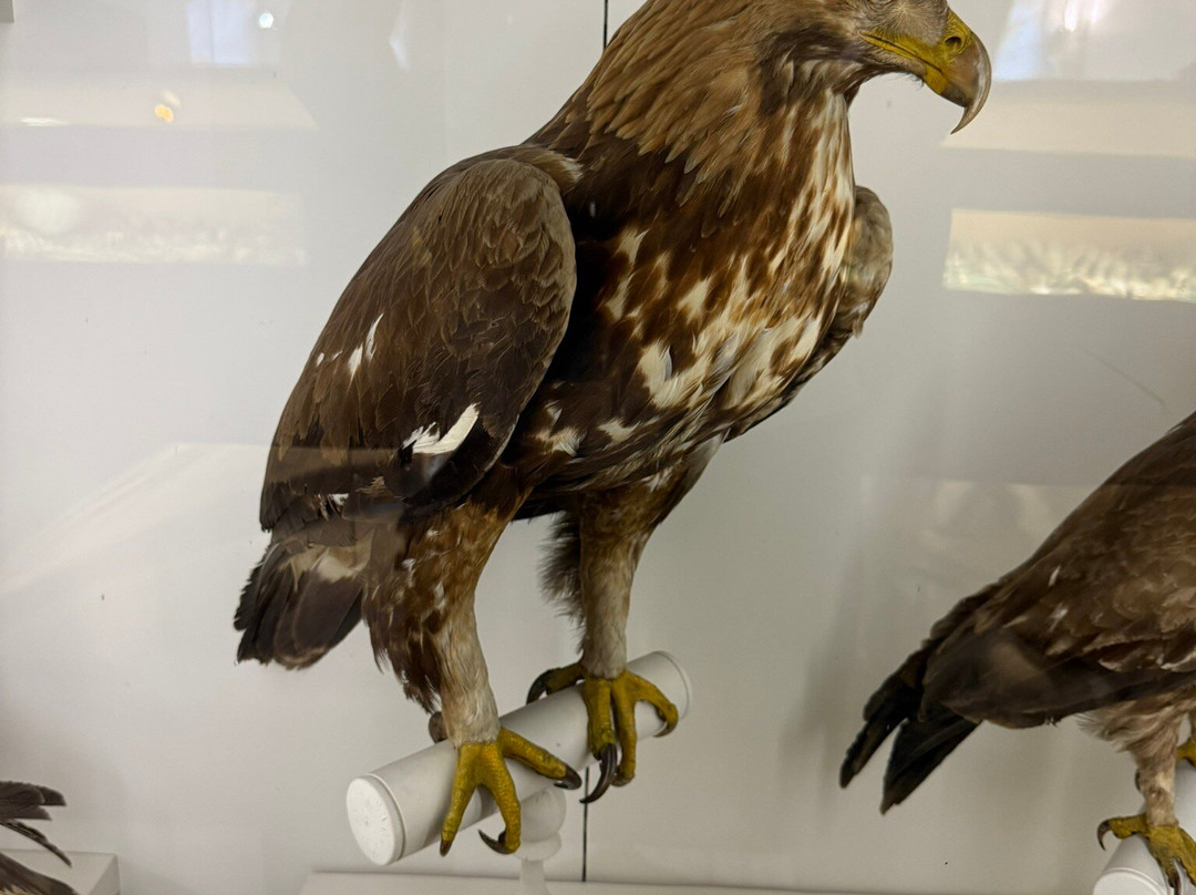 Muséum de Nantes-南特必去景点